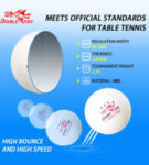 table-tennis3